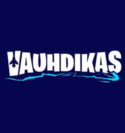 Vauhdikas Kasino